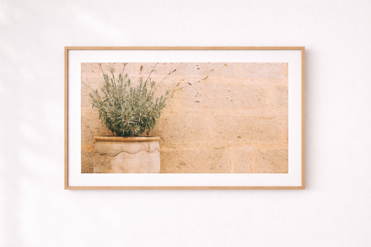 “Quiet Provenance” — Mediterranean Still Life Art Print
