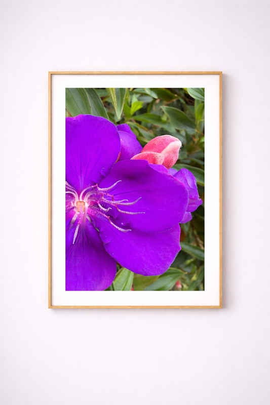 “Violet Bloom” — Coastal Floral Wall Art Print