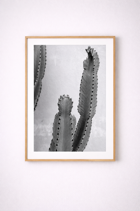 “Desert Calm” Black & White Cactus Wall Art