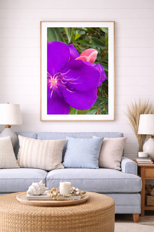 “Violet Bloom” — Coastal Floral Wall Art Print