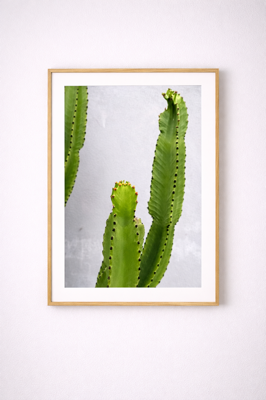 “Desert Calm” — Minimal Cactus Wall Art Print